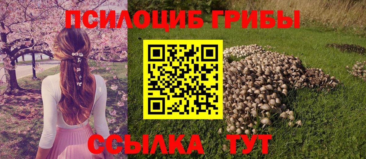 Шали  Галлюциногенные грибы прущие грибы  Вход с VPN 
